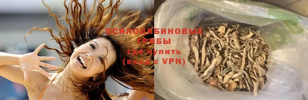 ПСИЛОЦИБИНОВЫЕ ГРИБЫ Богородск