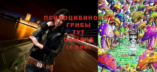 дмт Бугульма