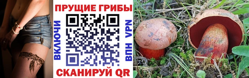 Псилоцибиновые грибы MAGIC MUSHROOMS  Дюртюли 